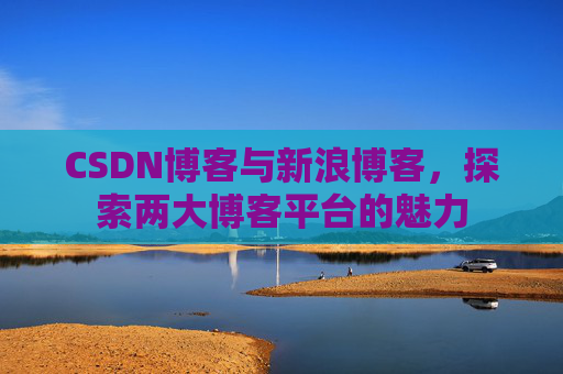 CSDN博客与新浪博客，探索两大博客平台的魅力